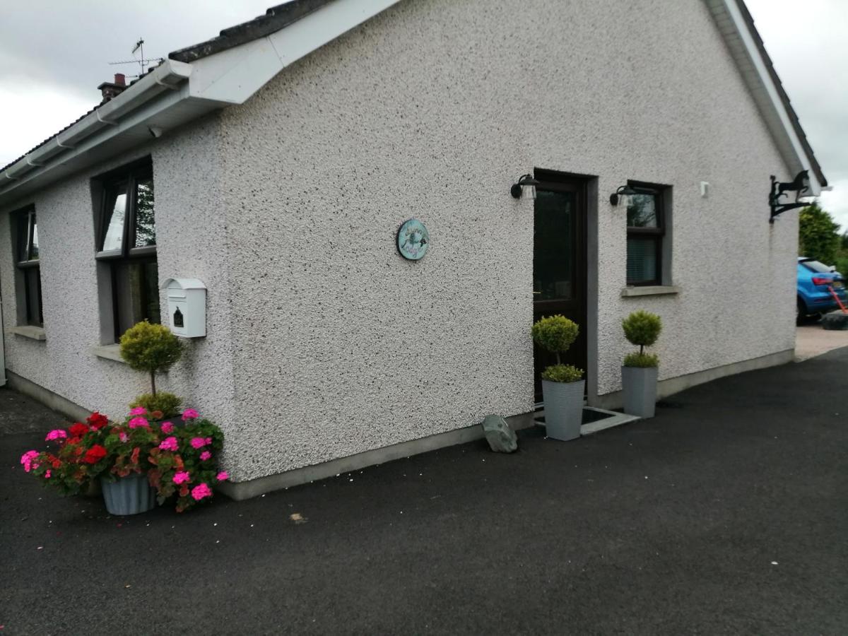 Lynn'S Lodge, International Airport 15Mins Randalstown Exterior foto