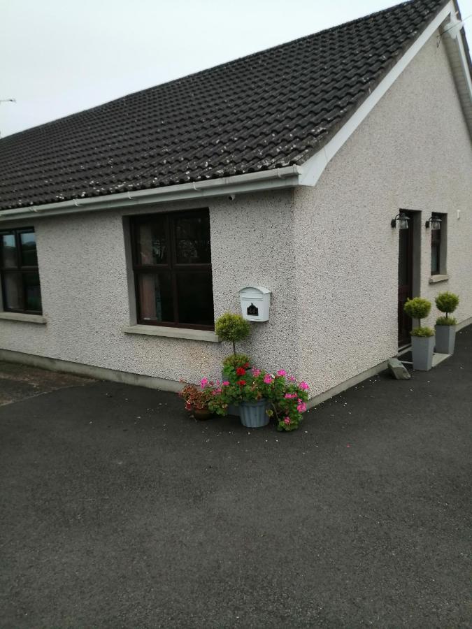 Lynn'S Lodge, International Airport 15Mins Randalstown Exterior foto